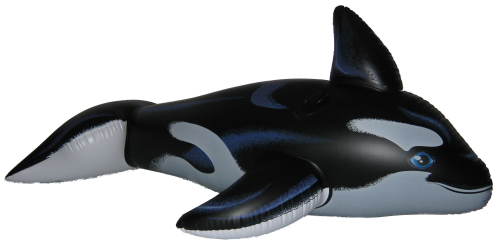 Inflatable Intex Black Orca 2008