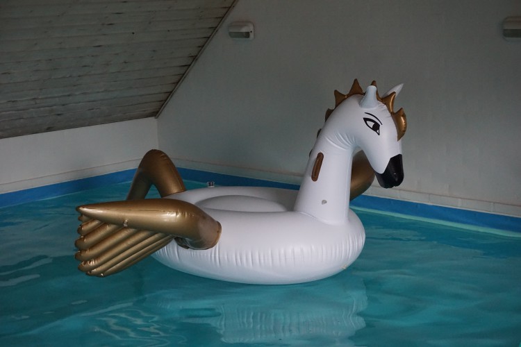 Funboy-Pegasus-Float.jpg