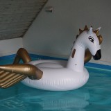 Funboy-Pegasus-Float