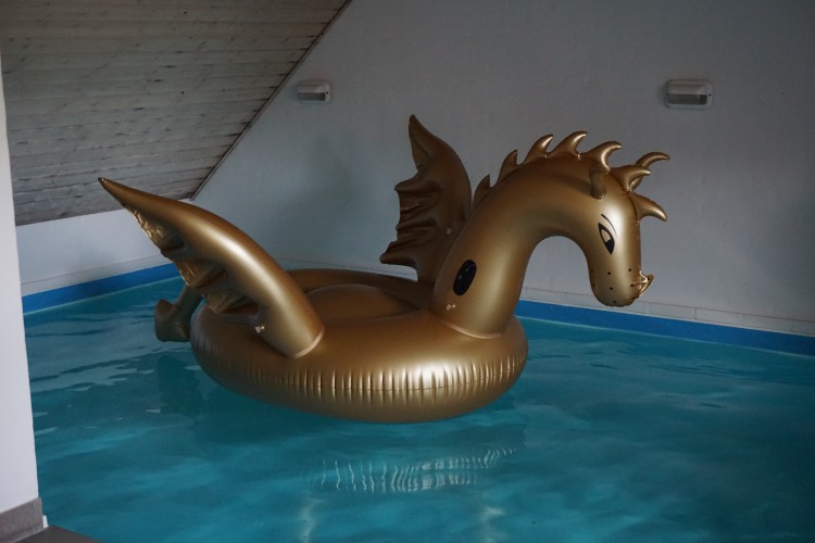 Inflatable-Dragon-Gold-Float.jpg