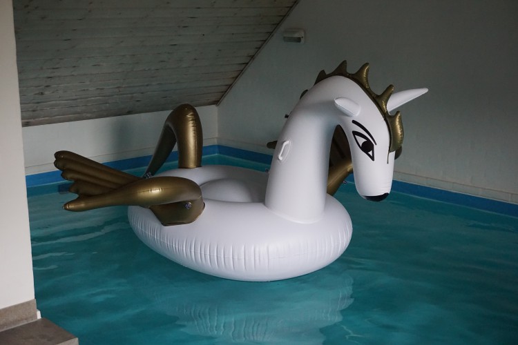 Inflatable Pegasus