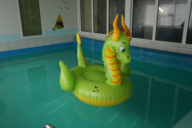 Storybook-Dragon-Pool-Float.jpg