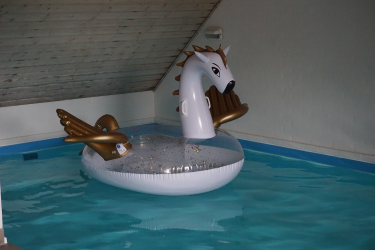 inflatable Crivit Pegasus
