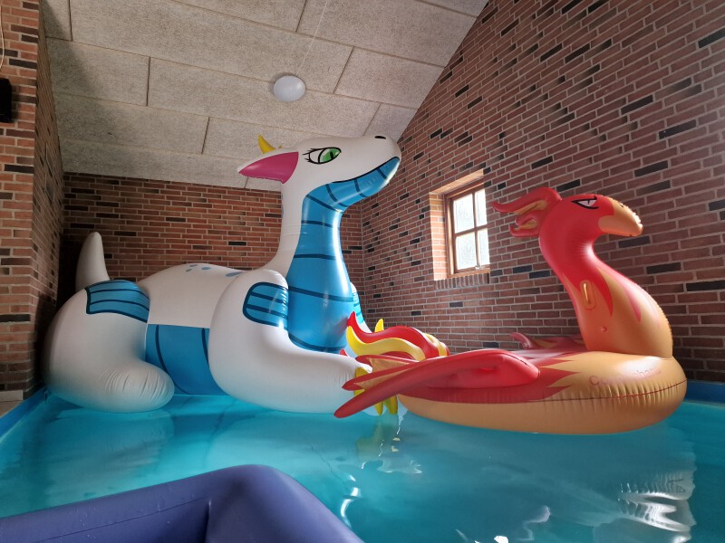 Ayru Dragon and CocoCabana Pool Lounge Phoenix