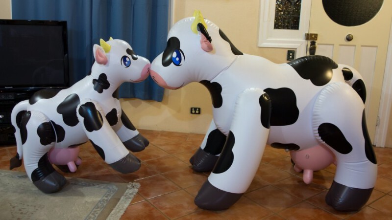 Mini PuffyPaws Cow