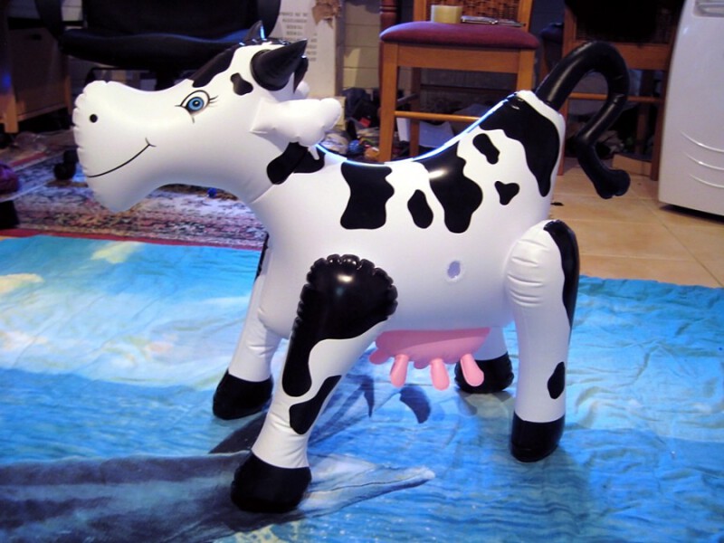 'Little Daisy' Inflatable Cow