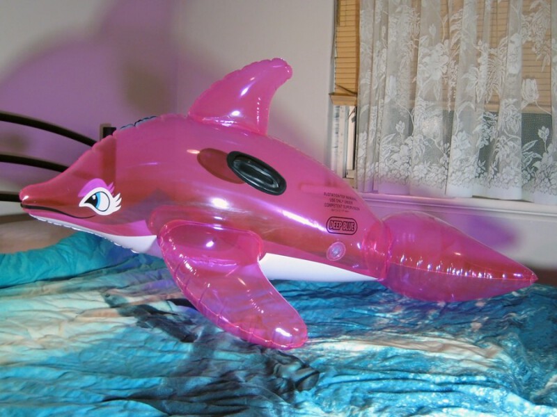 Deep Blue Dolphin (Pink)