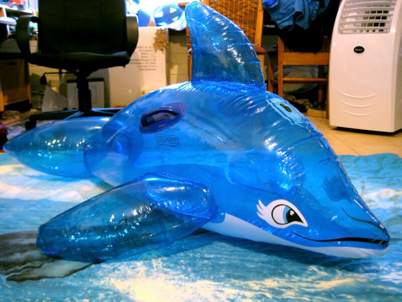Deep Blue Dolphin (Blue)