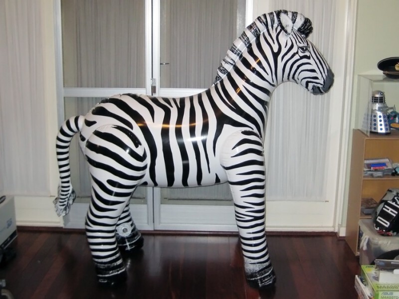 IW Glossy Zebra