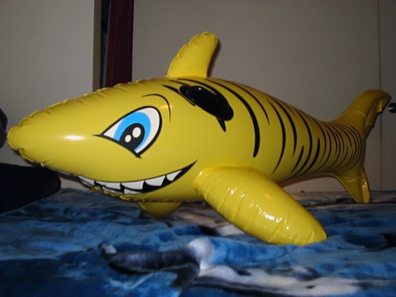 Unknown Yellow Shark