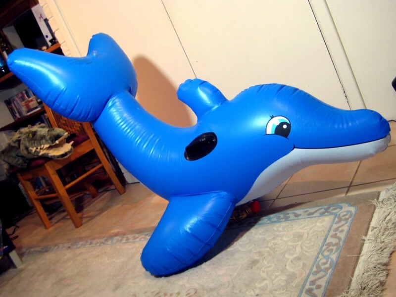 Blue Curved Dolphin