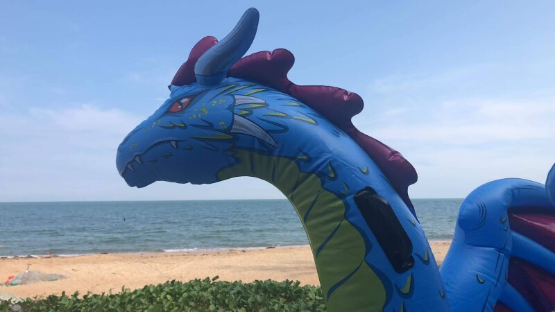 Dragon at the beach