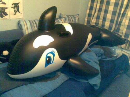 Inflatable Orca Royalbeach