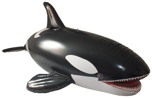 Inflatable jet Orca